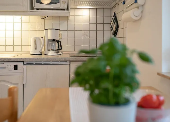 Haus Pegasus Gartenliebe 公寓 沙博伊茨